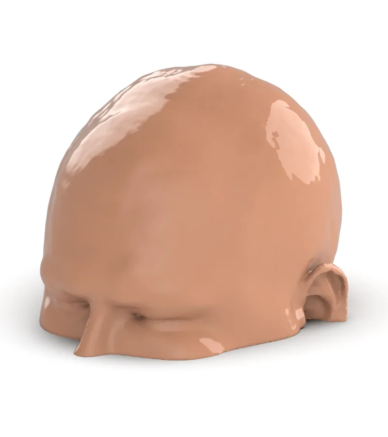 PhantomX Head Phantom