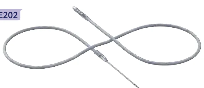 E202 DBS Extension
