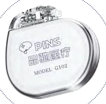 G102 Dual-Channel DBS Pulse Generator